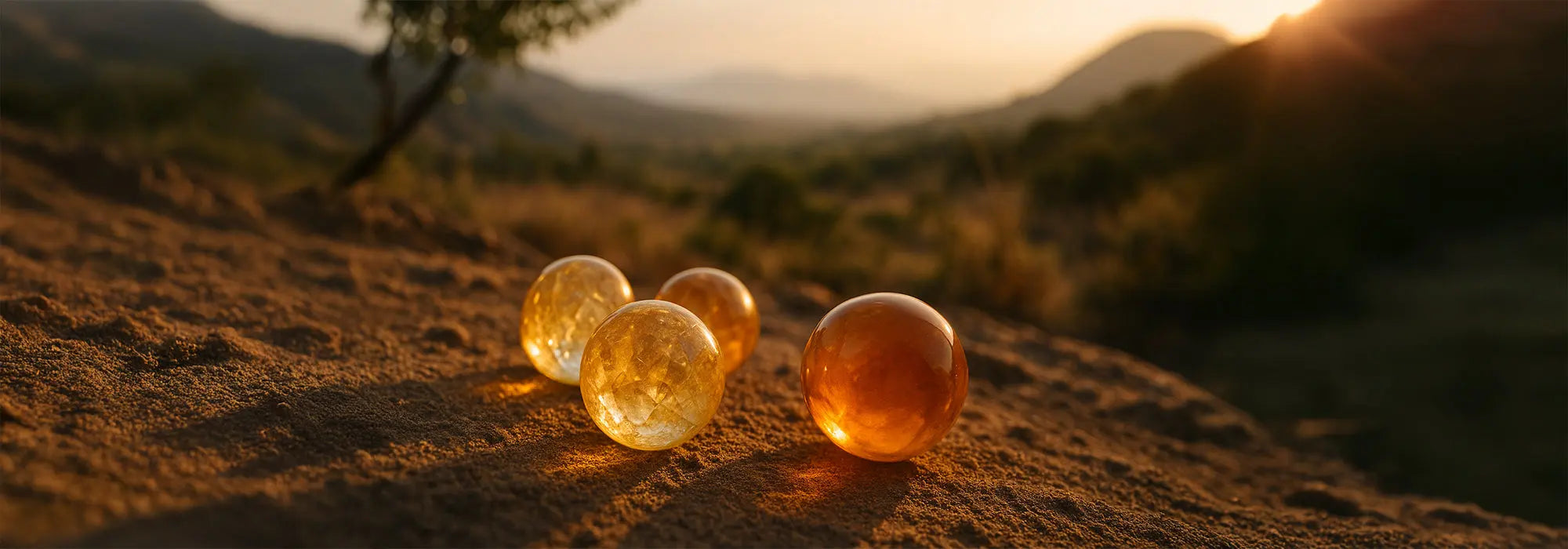 Citrin-Schmuck Tiger Treasure - Qualität, inspiriert seit 1890