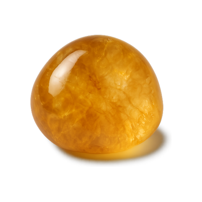 Citrin