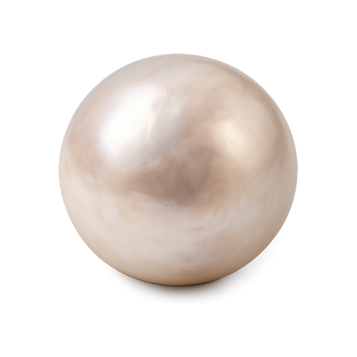 Perle